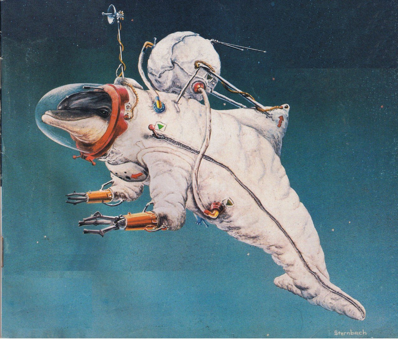 Interview: Rick Sternbach's Dolphin Suit